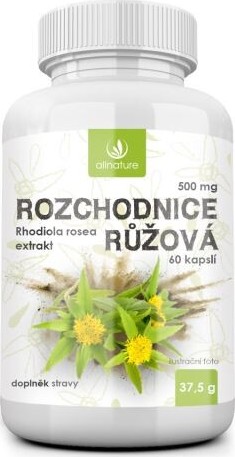 Allnature Rozchodnice Rhodiola Rosea 500mg cps.60