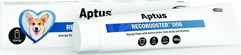 APTUS Recobooster Dog energetická pasta 100g