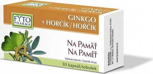 Ginkgo+Hořčík na paměť tob.30 Fytopharma