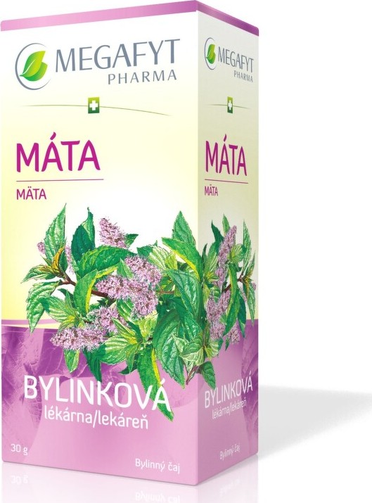 Megafyt Bylinková lékárna Máta 20x1.5g