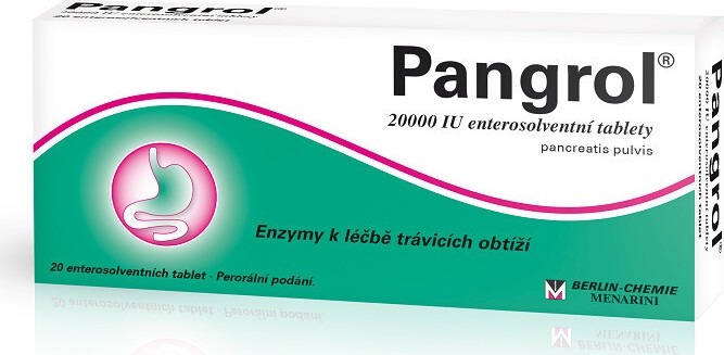 PANGROL 20000IU enterosolventní tableta 20 II