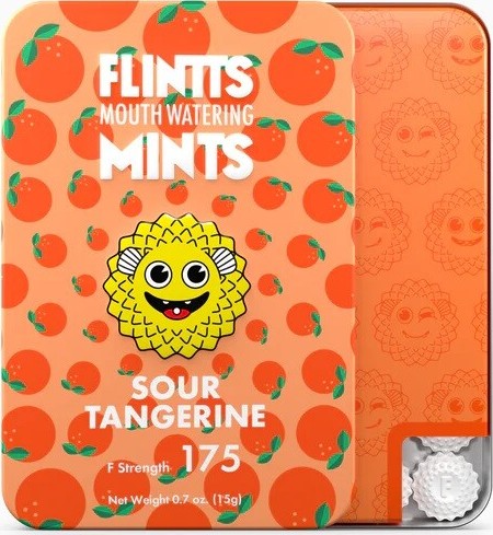 FLINTTS MINTS pastilky proti suchu v ústech 15g
