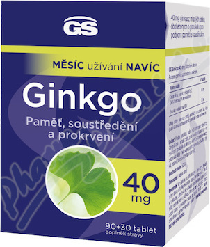 GS Ginkgo 40mg tbl.90+30
