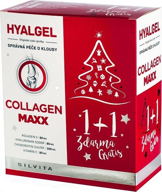 Hyalgel Collagen MAXX vánoční balení 2022 2x500ml