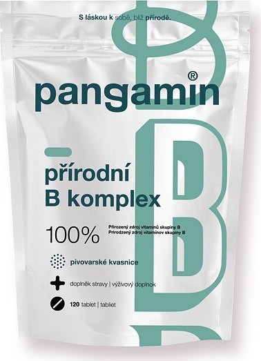 Pangamin přírodní B komplex tbl.120