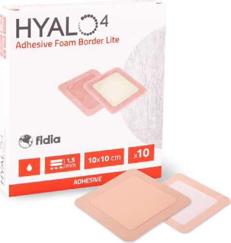 Hyalo4 Silic.Adhes.Border Foam Dress. 10 x 10 cm 10 ks