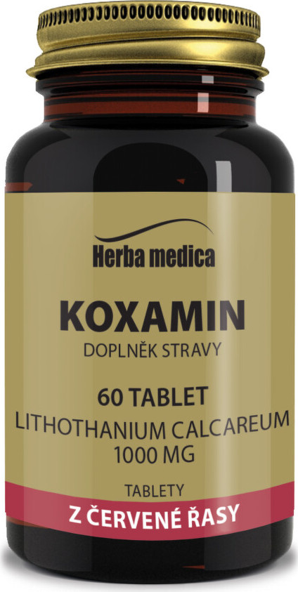 Koxamin 1000mg tbl.60