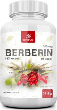 Allnature Berberin Extrakt 98% 500mg cps.60